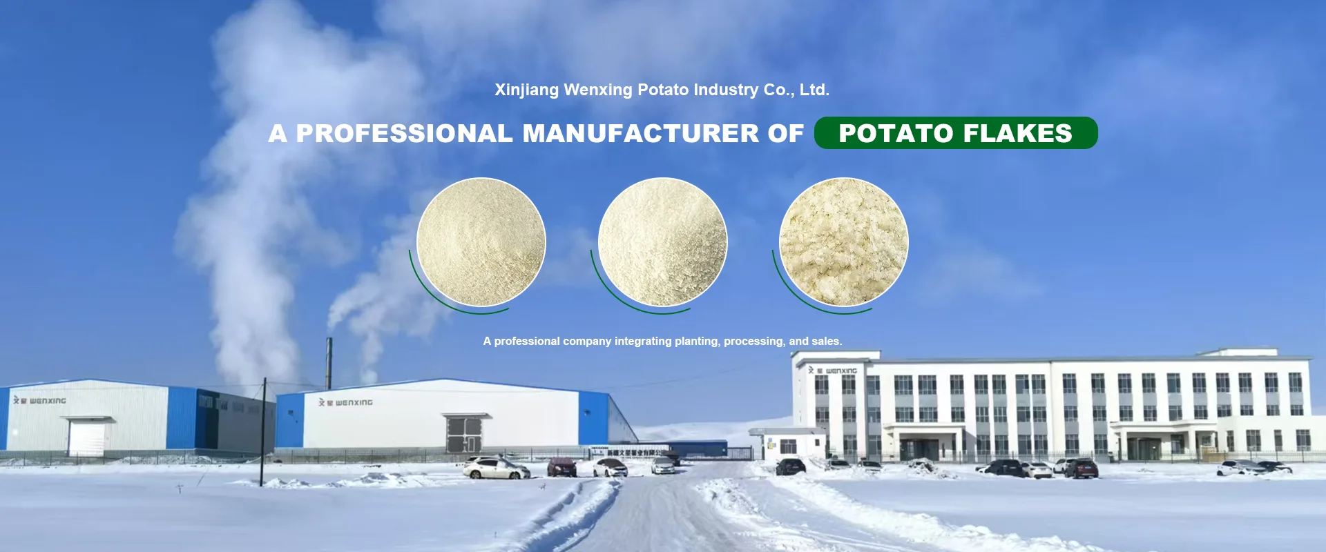 Kina kartoffelflager producent